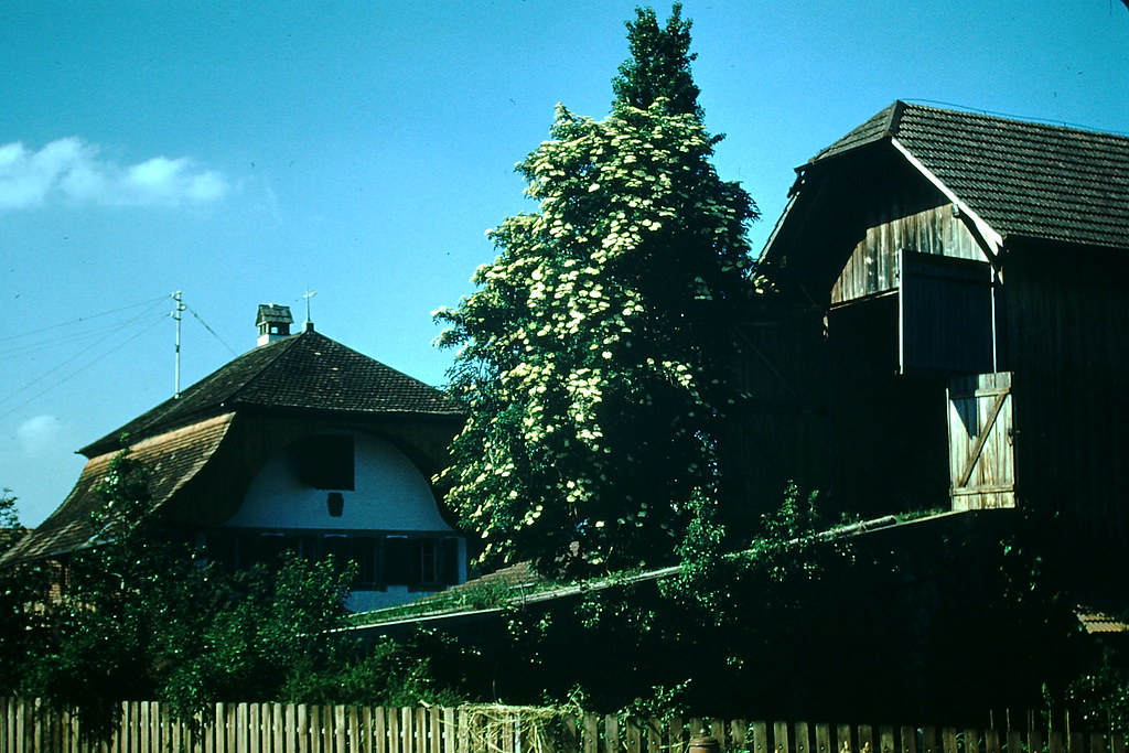 #32 Swiss Farm Near Berne, Switzerland, 1954