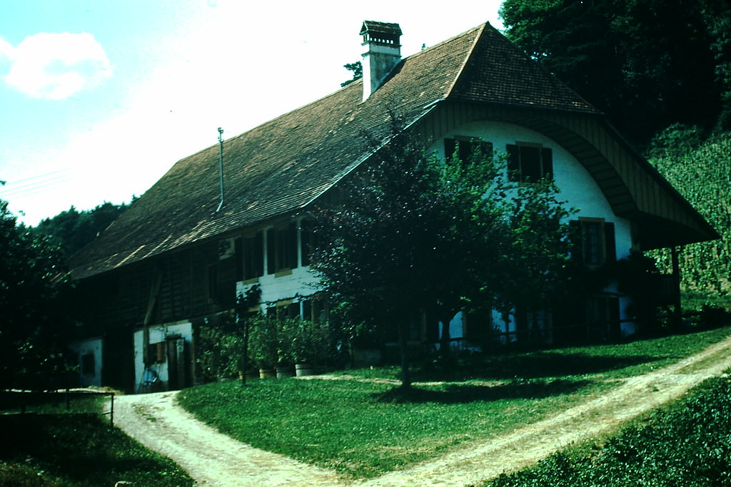#33 Swiss Farm, Switzerland, 1954
