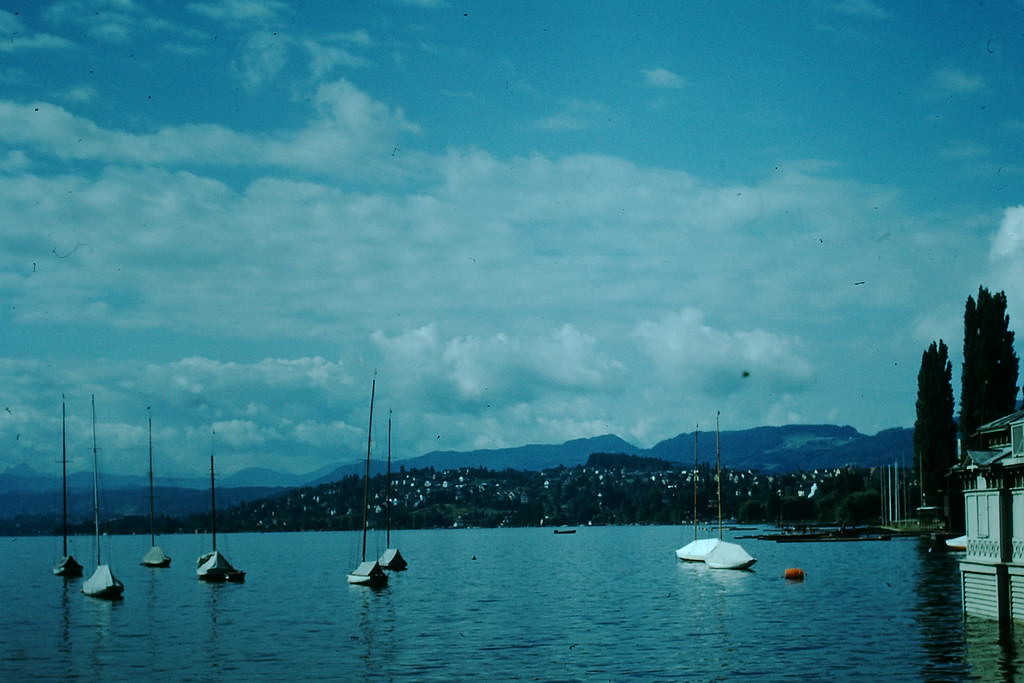 #40 Zurich Homes on Waterfront, Switzerland, 1954