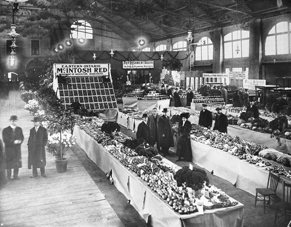 #22 St. Lawrence Market, 1904