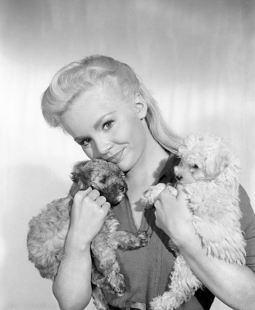 #73 Tuesday Weld with two puppies, 1959.