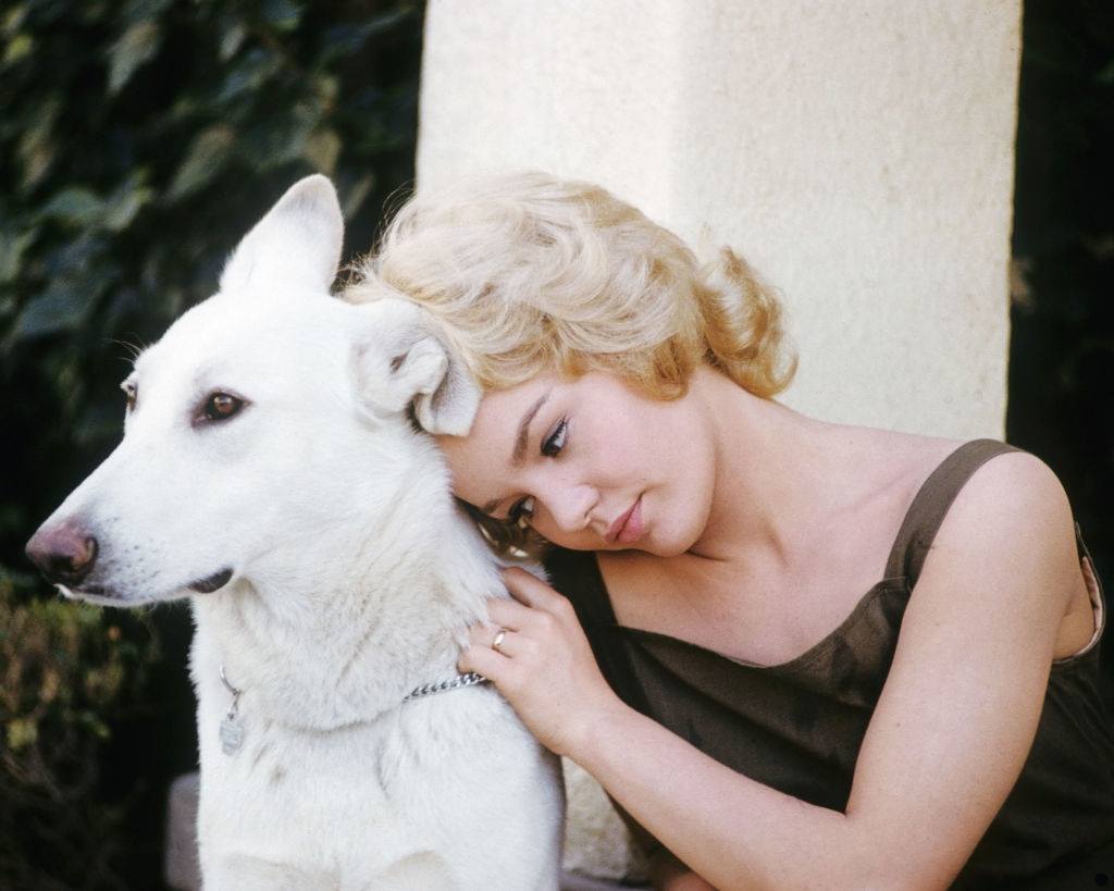 #49 Tuesday Weld, wearing a khaki vest, posing beside a white dog, 1965.