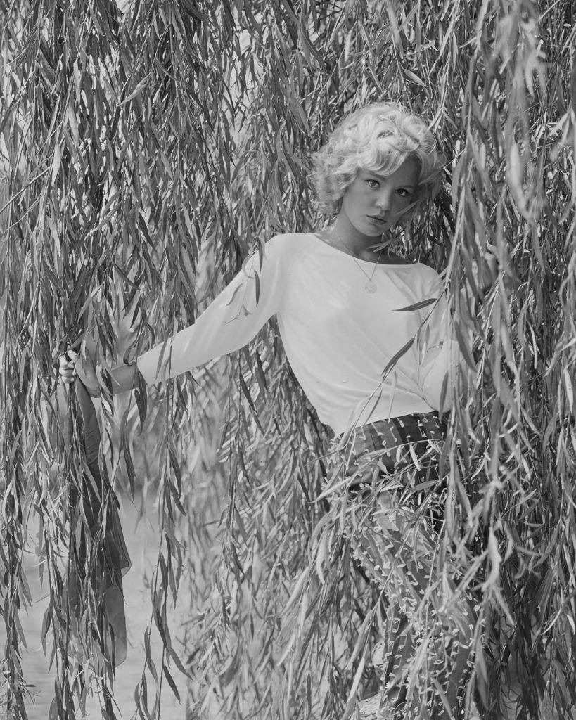 #59 Tuesday Weld as she poses among the leaves of a weeping willow tree, 1960s.