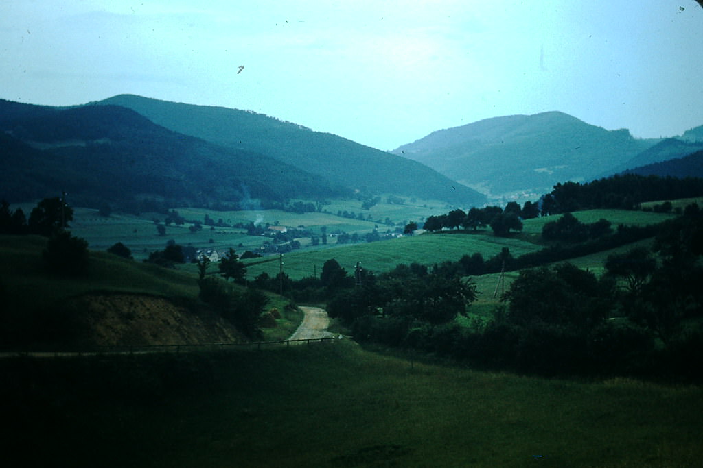 #6 Forest Over Looking Hunting Lodge, Vienna, 1953