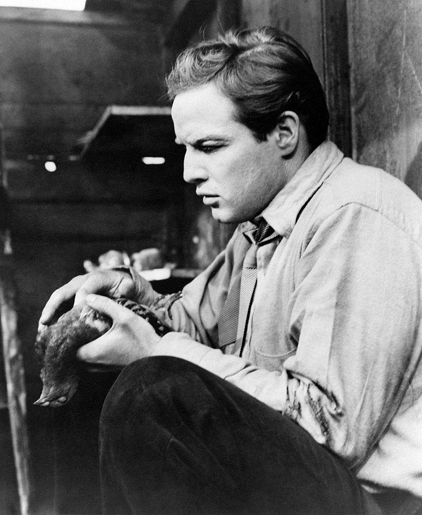 #33 Marlon Brando holding a dead pigeon in on the Waterfront, 1954