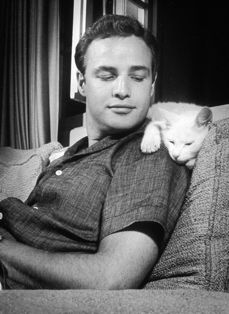 #67 Marlon Brando leans back on a sofa and smiles at a cat, 1954.