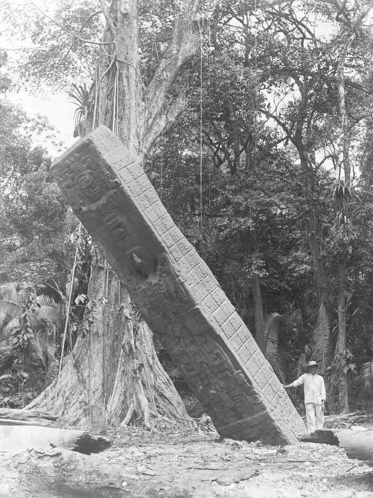 #11 Stela E, Quiriguá, Guatemala. Photo by Maudslay.