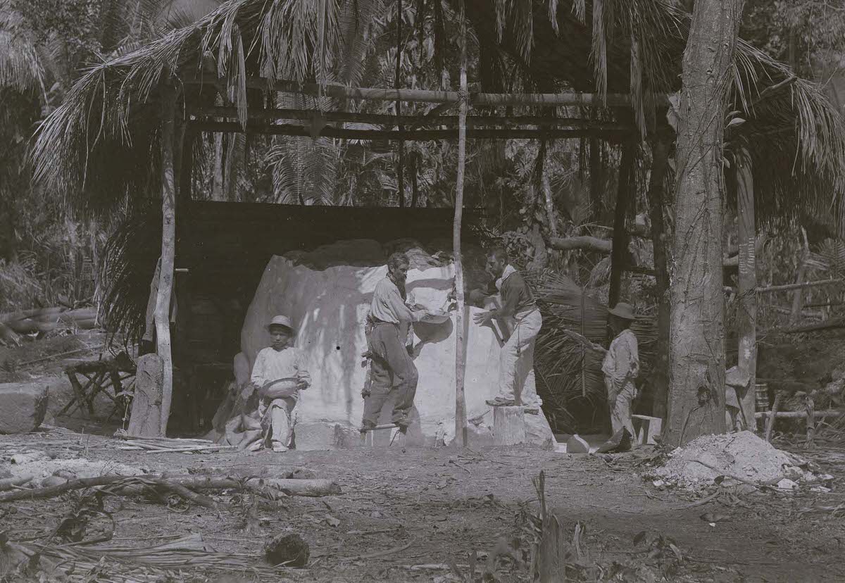 #12 Lorenzo Giuntini and assistants creating a plaster mold of Zoomorph P at Quirigua, Guatemala, 1883.