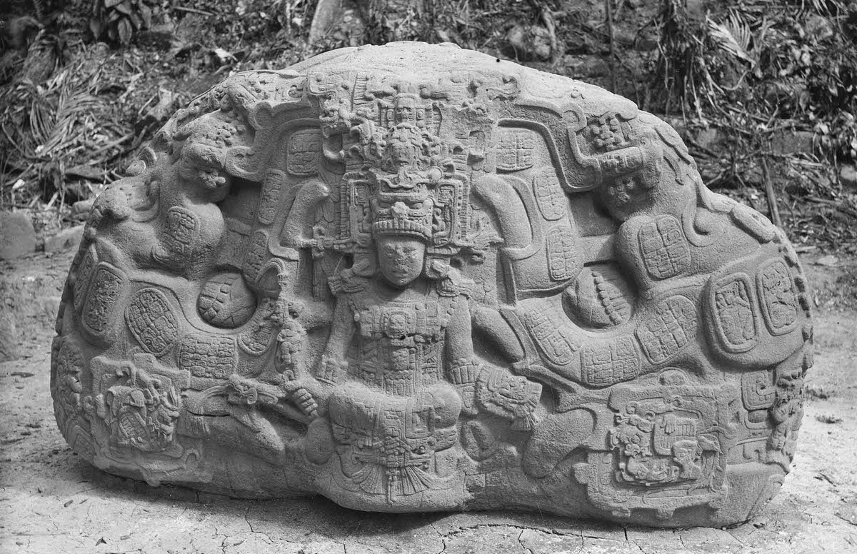 #13 Zoomorph P at Quirigua, Guatemala, 1883.