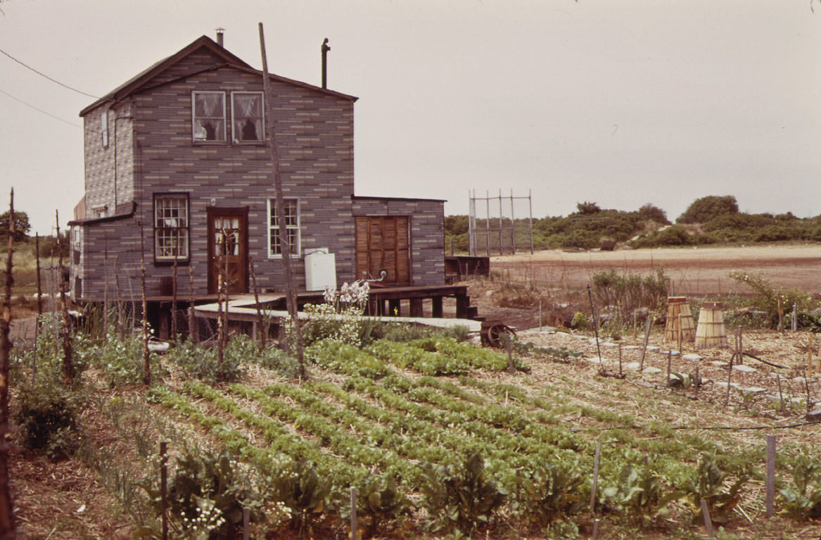 #11 Broad Channel, Marginal Land in Jamaica Bay near the JFK Airport, May 1973