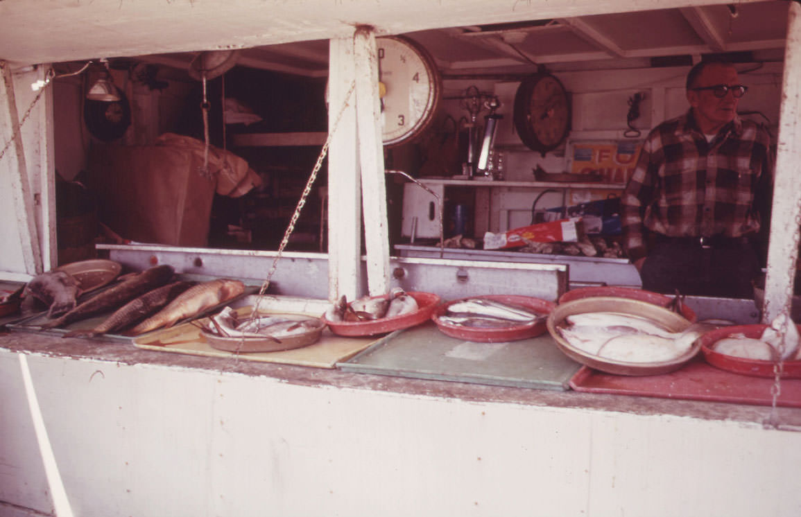 #17 Sheepshead Bay Fish Store, May 1973
