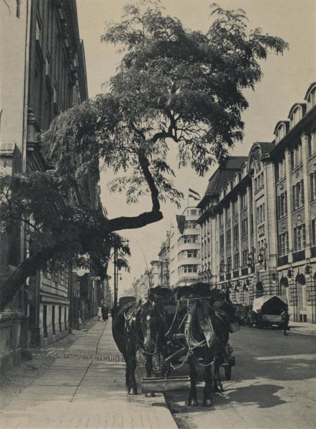 #16 Charlottenstrasse, Berlin