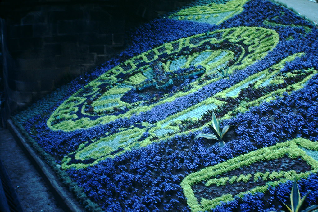 #71 Floral Clock-Princes St Park, Edinburgh, 1949.