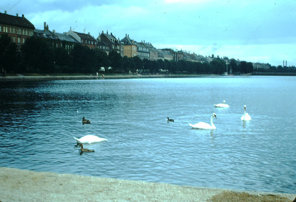 #8 City Lake, Copenhagen, Denmark, 1940s.