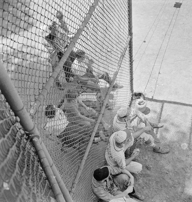 #19 Players and spectators in a baseball game at Ellipse Park, Washington, D.C., July 1942