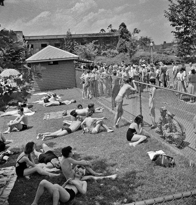 #27 Sunbathers on the grass next to the municipal swimming pool on Sunday, Washington, D.C., July 1942