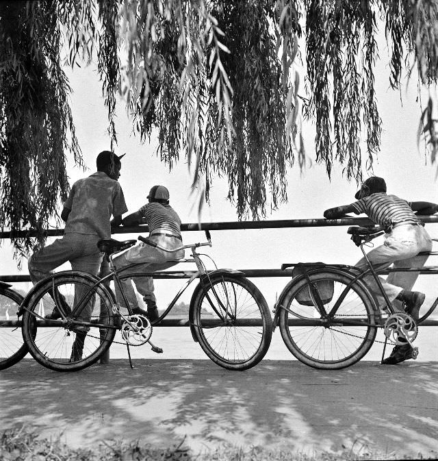 #32 Sunday cyclists watching sailboats at Hains Point, Washington, D.C., June 1942