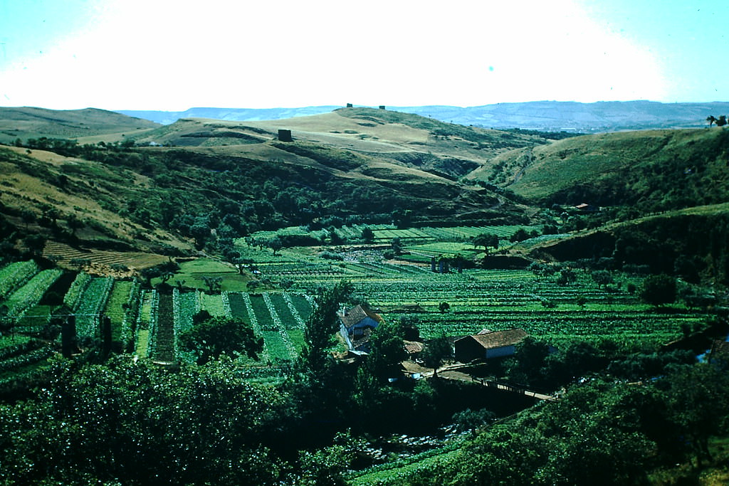 #42 Farm- Valley Ponte D’Lousa- Near Lisbon, 1950s.
