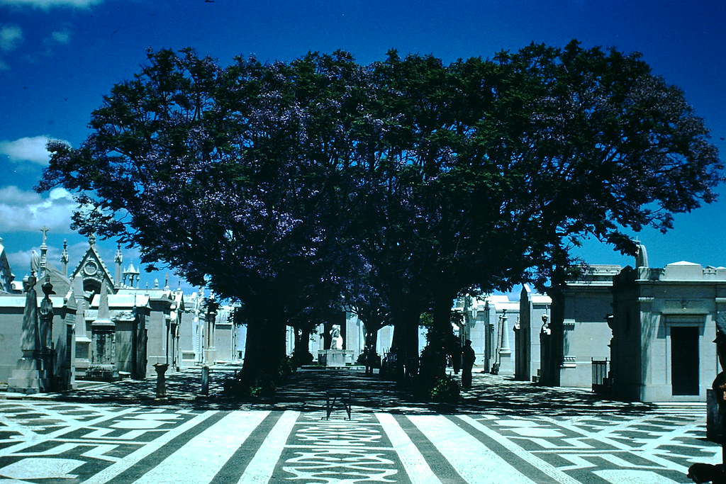 #10 Cemetery in Lisbon, 1950s.
