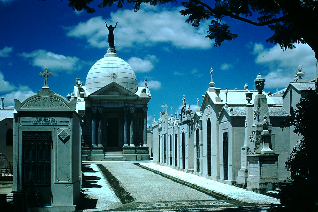 #11 Cemetery Lisbon, 1950s.