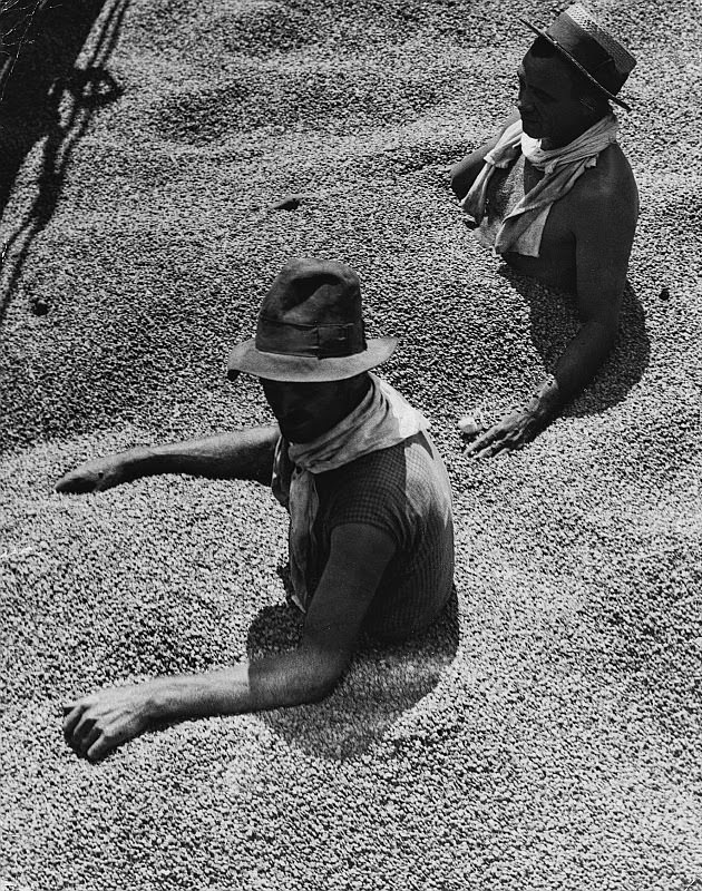 #15 Choked with coffee, Barzil, 1932