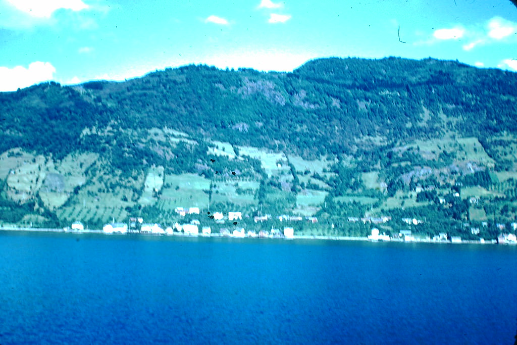 #46 Sognefjord, Norway, 1940s.