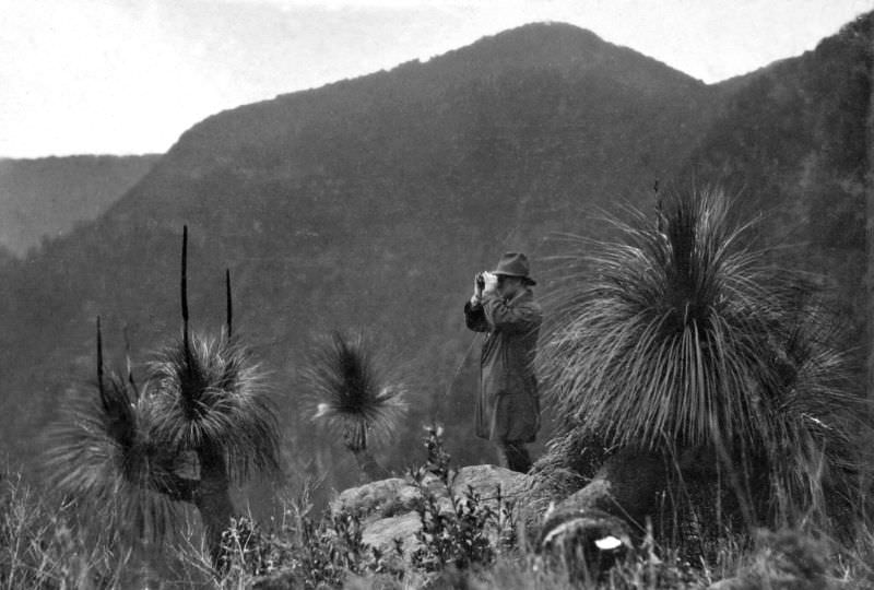 #26 Echo Point, Lamington National Park, Beaudesert Shire, September 1933