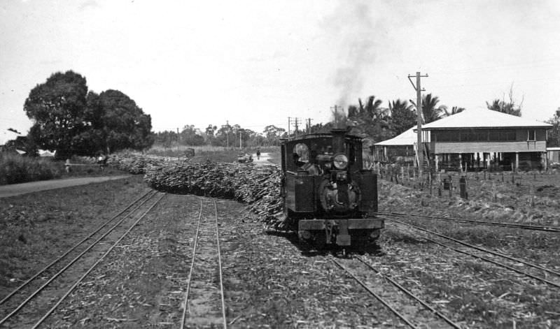 #37 Sugar cane train, Kalamia, Ayr, 1938