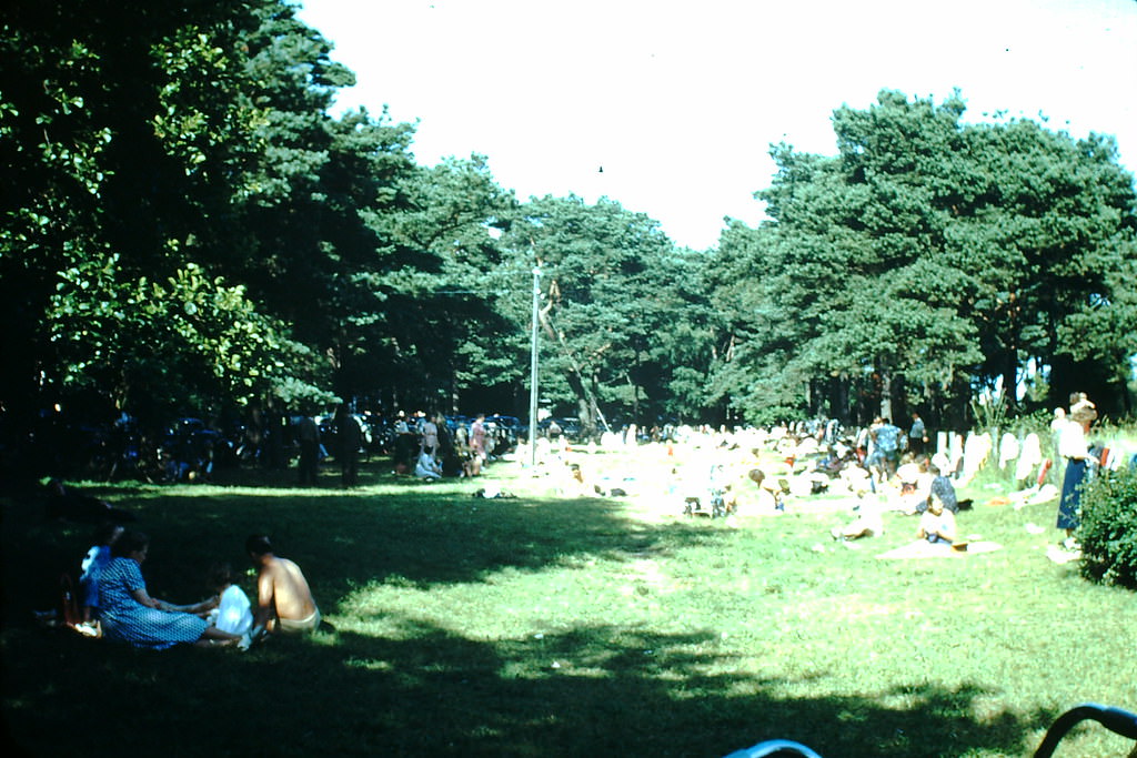 #8 Picnic Ground in Saltsjobad, Sweden, 1949.