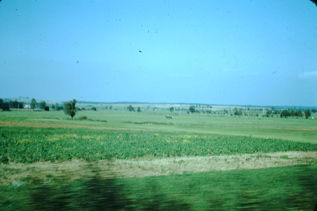 #2 Farm Country Near France Germany, 1949