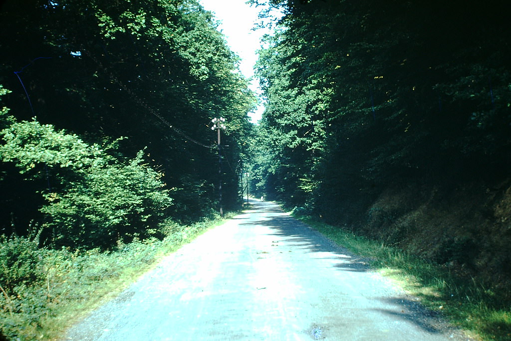 #12 Country Road, Germany, 1949.