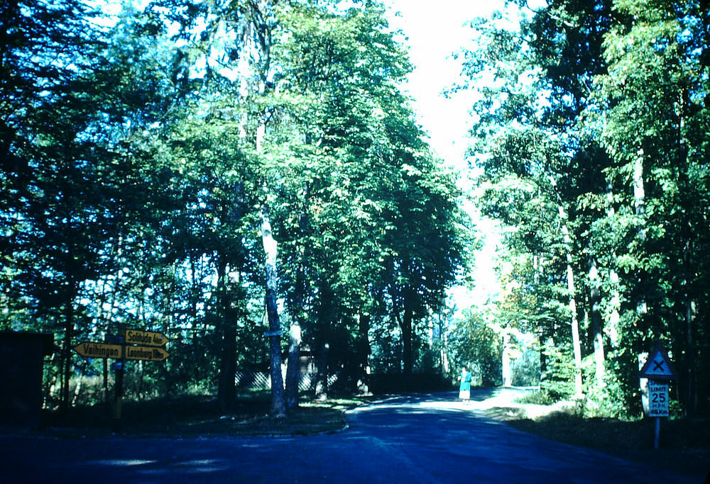 #15 Edge of Black Forest, Near Stuttgart, Germany, 1949.
