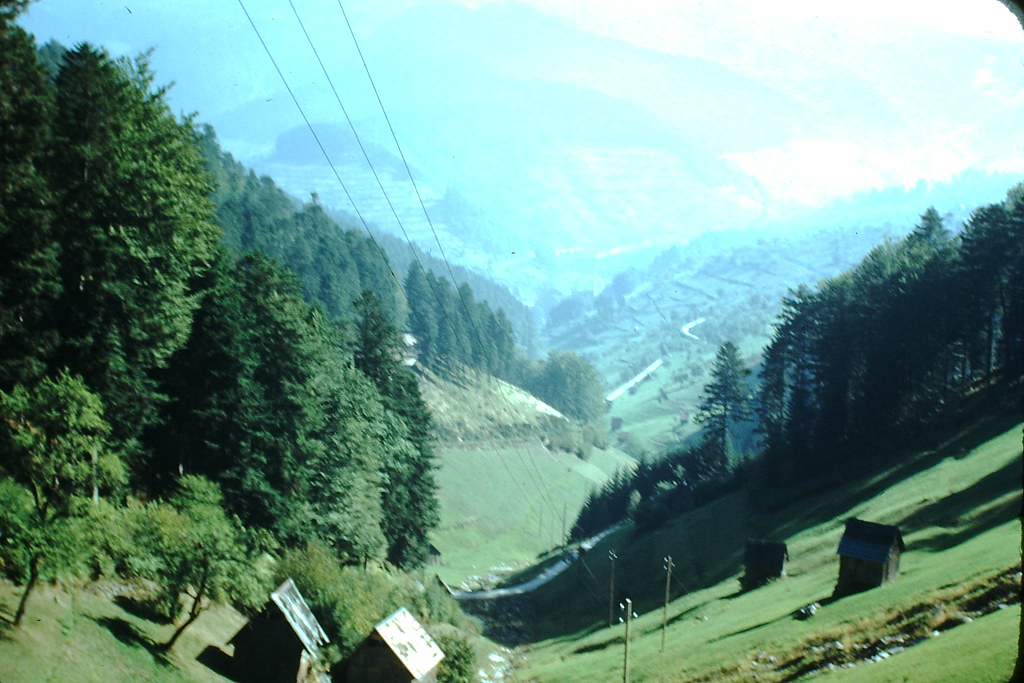 #71 Valley Below Rote Lache, Germany, 1949.