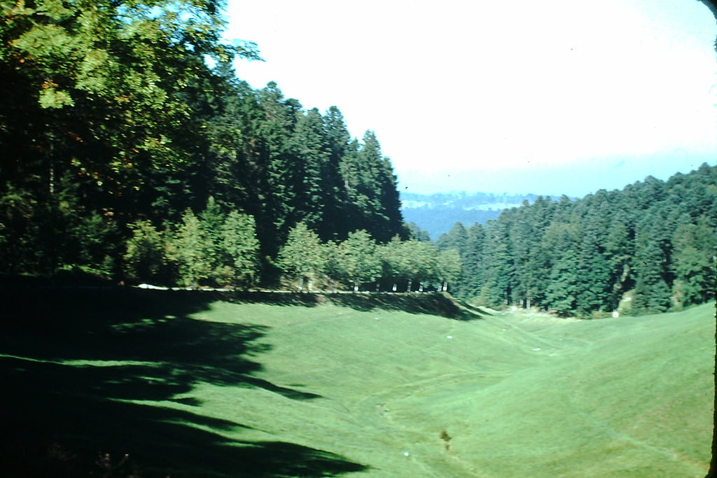 #8 Black Forest Area, Germany, 1949.