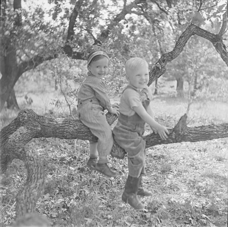 #25 Children playing on a low hanging tree branch