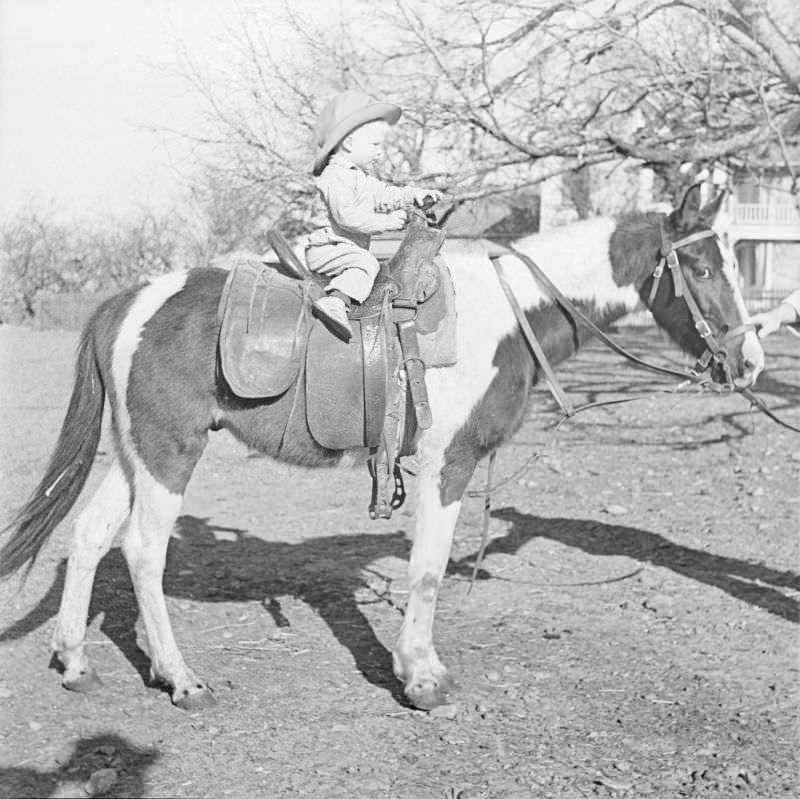 #27 Little boy sitting in top of a horse with an unidentified individual holding the horse’s bridle