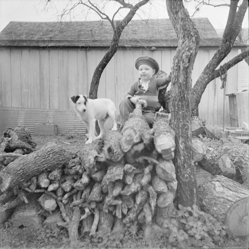 #29 Little boy sitting on a pile of cut wood with a dog next to him