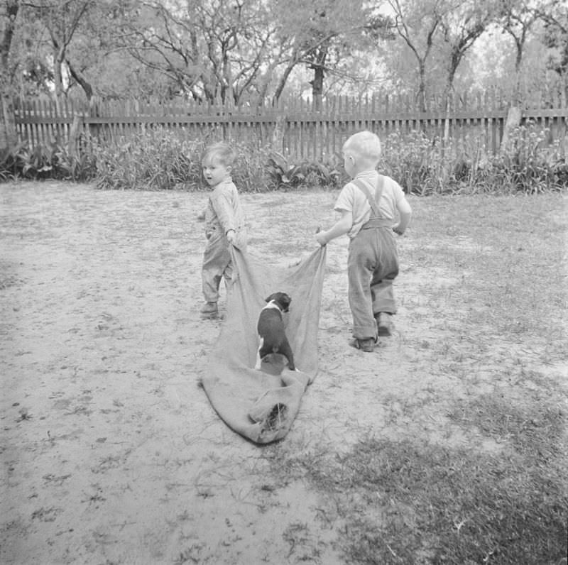 #36 Two boys pulling a blanket with a dog on top of it