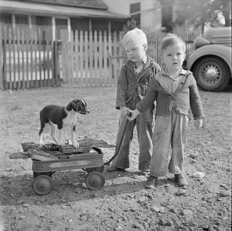 #39 Two little boys standing next to a wagon full of wood, with a dog on top of it
