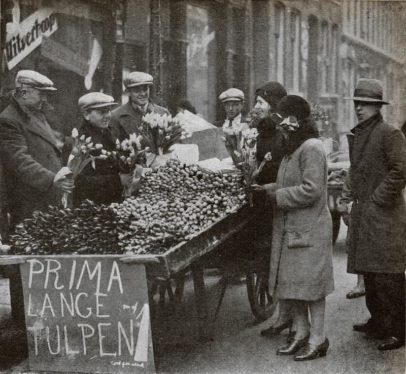 #30 Amsterdam tulip sale, spring 1931