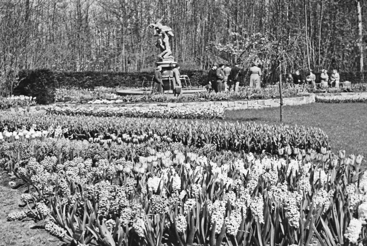 #30 Amsterdam park, 1958.