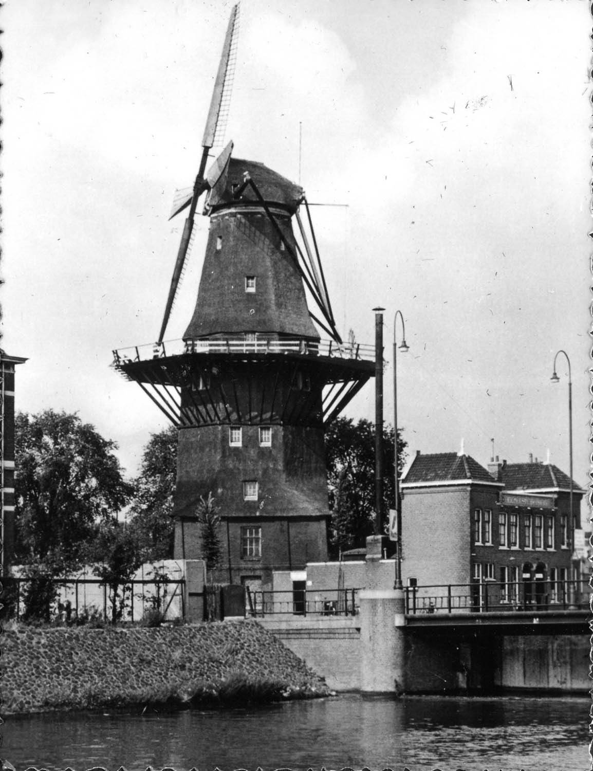 #36 Windmill, Amsterdam, 1958