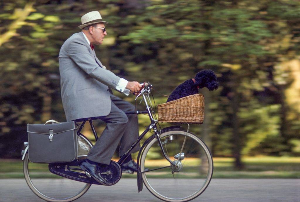 #21 An elderly cyclist taking his poodle for a ride in Vondel Park, Amsterdam, 1975.