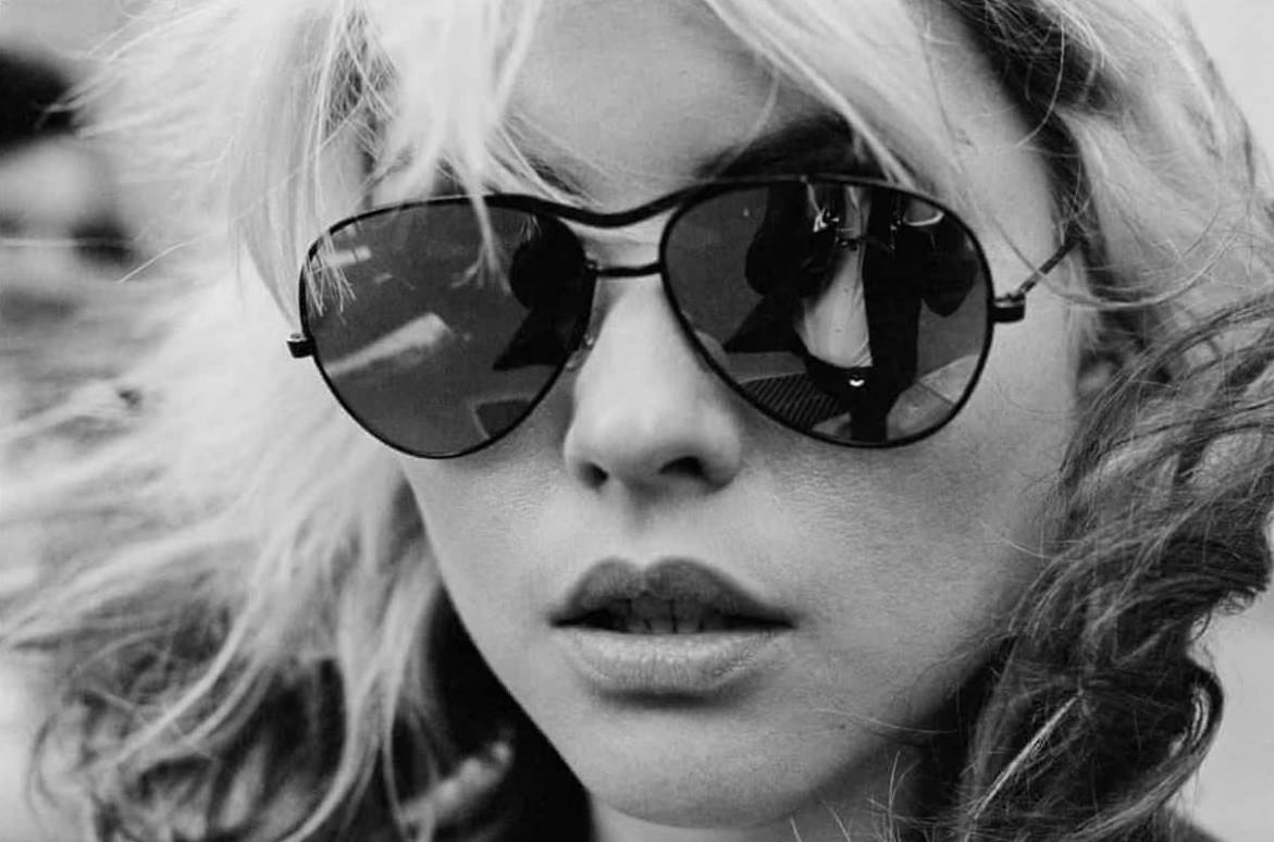 #5 Stein reflected in Debbie’s shades