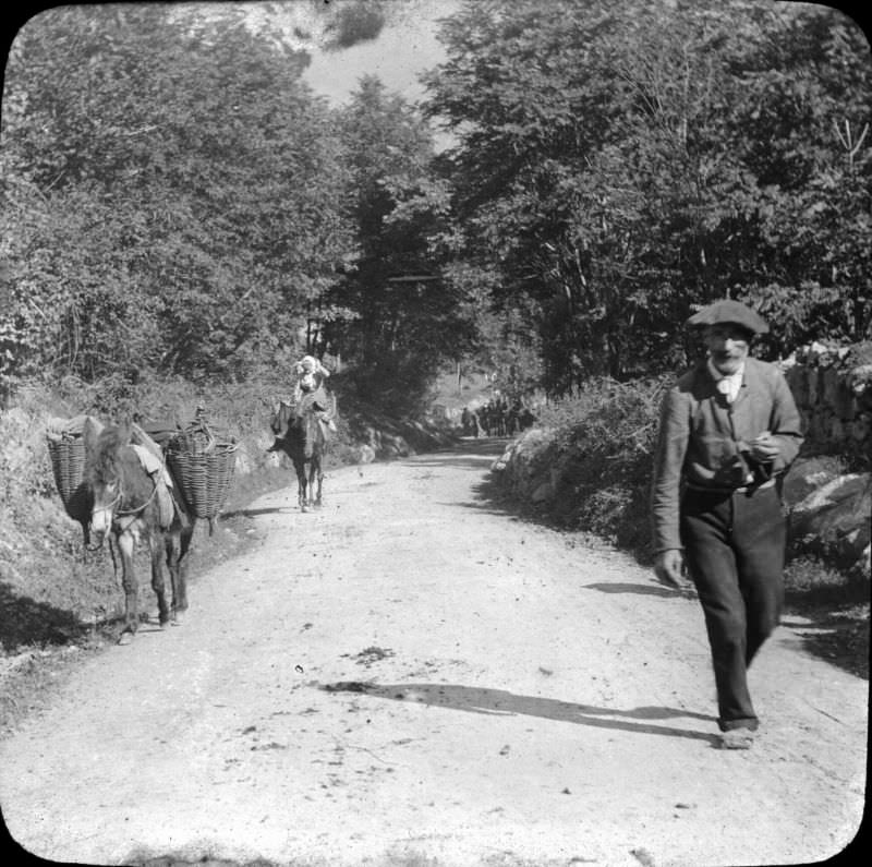 #14 Lys valley path, Luchon, 1892