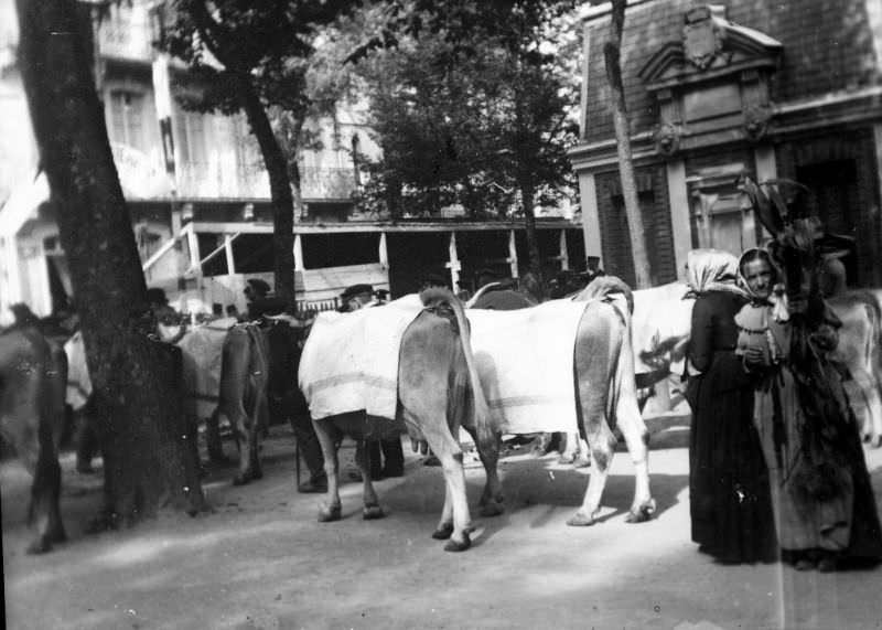 #26 Entrance to the competition, Luchon, September 1895