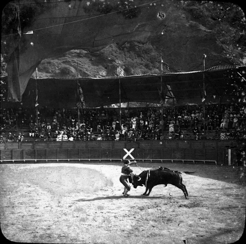 #49 Running of the bulls- Mazzantini, Luchon, July 3, 1899