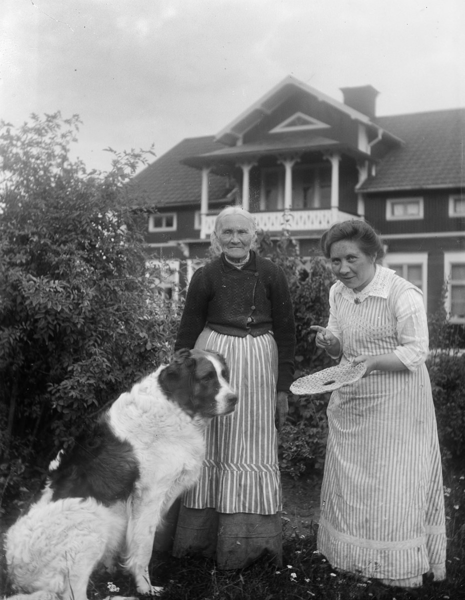 #6 Teres Karlinder holds a bread cake in front of the dog, Drävle, Altuna parish, Uppland 1908