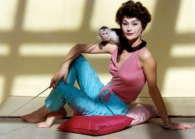 #40 Anne Gunning in cashmere wrap top and silk capri pants poses with Capuchin monkey on her shoulder, 1958.