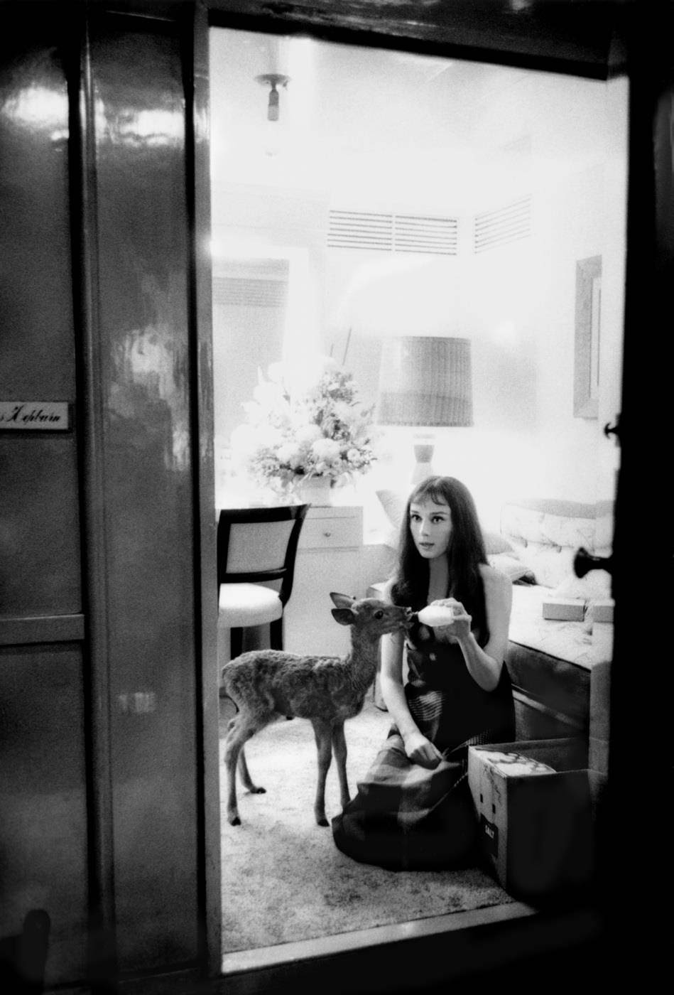 #9 Audrey Hepburn feeds her pet deer Ip its morning bottle during a break from filming on MGM’s “Green Mansions,” 1958